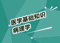 事業(yè)單位考試醫(yī)療基礎知識講座之病理學